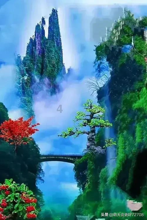 伍咏薇：亚洲小姐的璀璨之星，演艺圈的亮丽风景