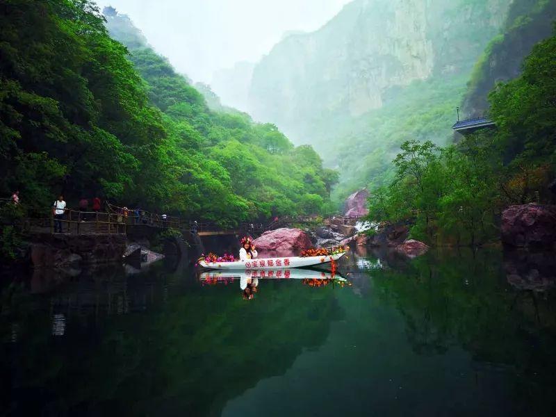 植物大战僵尸15